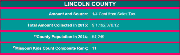 Lincoln County Tax for Children Summary