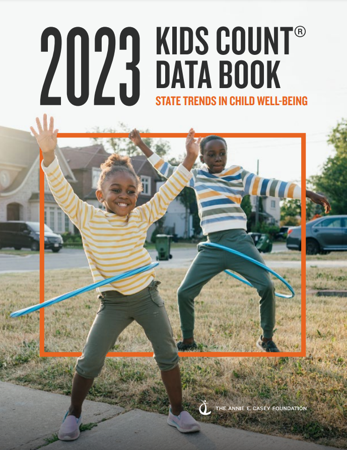 aecf data book cover