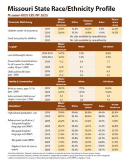 missouri race and ethnicity profile