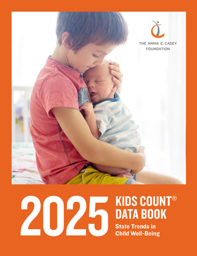 aecf data book cover